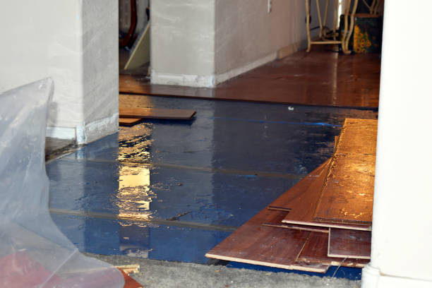 Professional Water Extraction technician working in Homer, MI